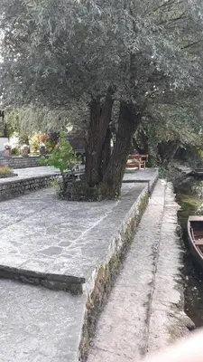 a tree in a park next to a river at Hideaway in Bihać