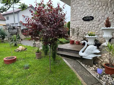 a garden with a tree and a stone wall at Apartman EXCLUZIV in Prijedor