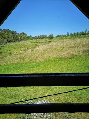 a view of a field of grass from a window at Katarina Doboj,Bušletić in Busletić