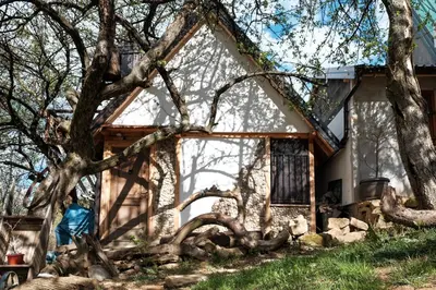 a house with a tree in front of it at Bungalows Old Town in Visoko