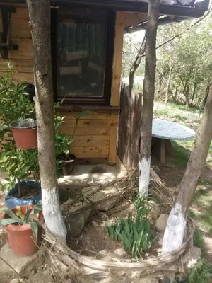 a cabin in the woods with a bench and trees at Bungalows Old Town in Visoko