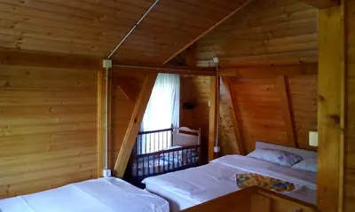 a bedroom with two beds in a log cabin at Villa Happy dreams in Bihać