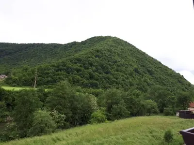 a large green hill with trees on a field at Apartmani Tajra in Visoko