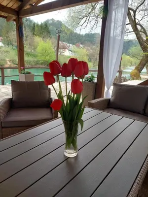 a vase of red tulips sitting on a table at ATRIUM Holiday home in Bihać