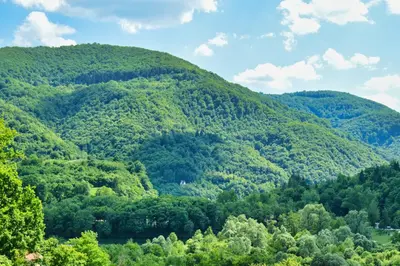 a mountain covered in green trees on a sunny day at Guesthouse Marivo in Jajce