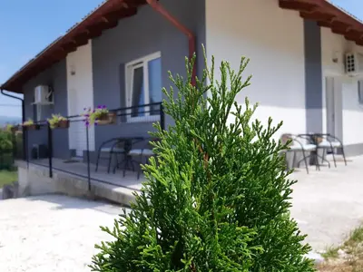 a green bush in front of a house at Apartments Window in Bihać