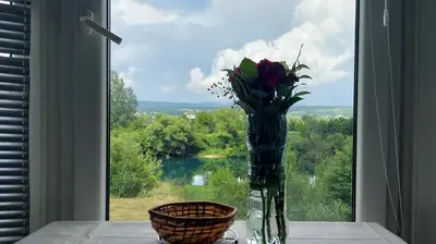 a vase with flowers sitting on a table in front of a window at Apartments Window in Bihać