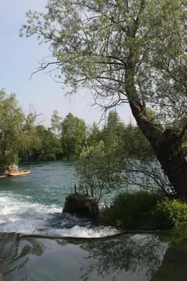 a river with a tree in the middle of it at LGP Exclusive Apartment in Bihać