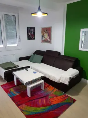 a living room with a couch and a colorful rug at Modern apartment in Banja Luka