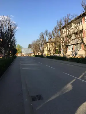 an empty street with trees on the side of the road at Stan na dan Gradiška/Bos. Gradiška in Bosanska Gradiška