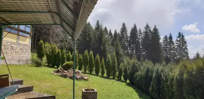 a garden with a bunch of trees on a hill at Green Forest in Vlasic