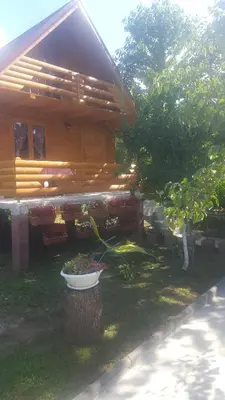a house with a flower pot in front of it at Vacation home SAJRA in Kulen Vakuf