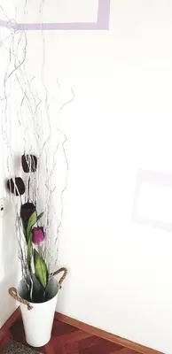 a plant in a white pot next to a wall at Apartman Lucija in Livno