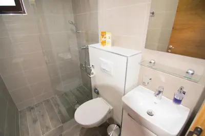 a bathroom with a toilet and a sink and a shower at Villa Sabina in Lohovo