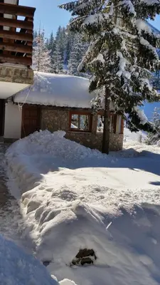 Gallery image of Villa Jasmin - Vlašić in Vlasic