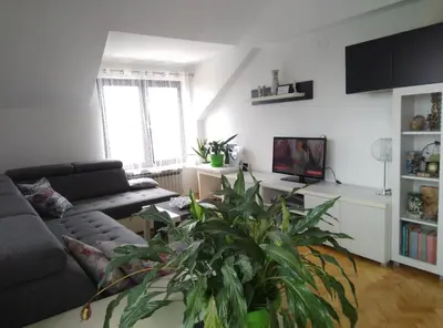 a living room with a couch and a plant at Receptiva BL in Banja Luka