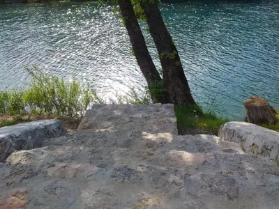a tree sitting next to a body of water at Una holiday house in Bihać