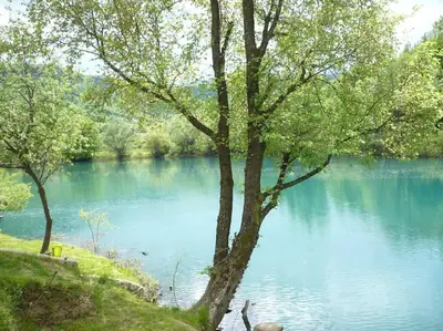 a view of a river with trees in front of it at Una holiday house in Bihać