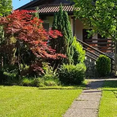 Green Oasis