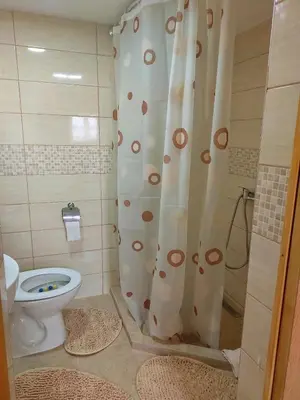 a bathroom with a toilet and a shower curtain at Etno selo EDEN in Žeravački Potok