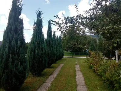 a row of trees in a garden with a pathway at Sunny Paradise in Bihać