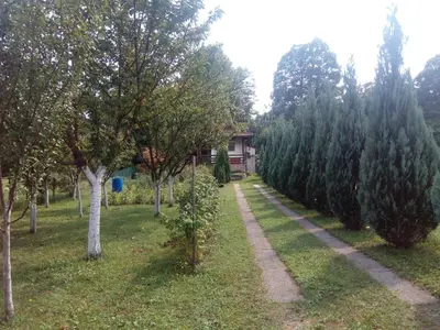 a path through a garden with trees and a house at Sunny Paradise in Bihać
