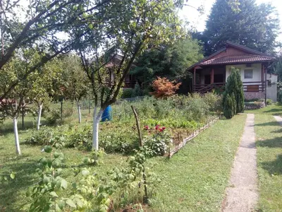 a garden in front of a house at Sunny Paradise in Bihać