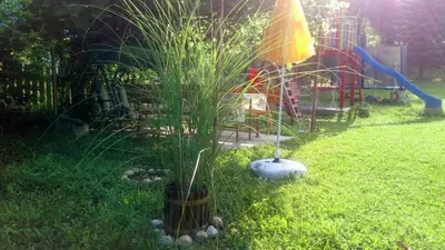 a garden with a playground with a tall grass at Cottage Forest Stream in Visoko