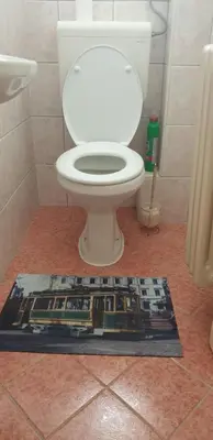 a bathroom with a toilet and a rug on the floor at Trosoban stan u Zenici in Zenica