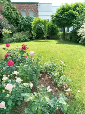 a flower bed with pink roses in a yard at Hotel Athos in Modriča