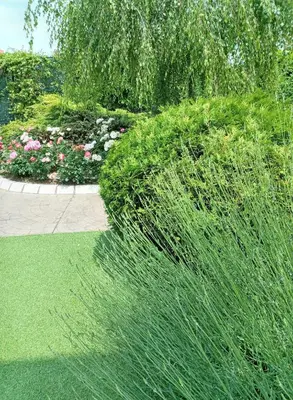 a garden with green grass and flowers and bushes at Hotel Athos in Modriča