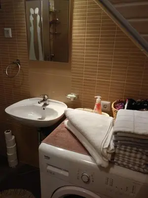 a bathroom with a washing machine and a sink at Holiday Home Dzeni in Zenica