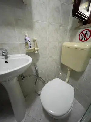a bathroom with a white toilet and a sink at Villa My Island in Bihać