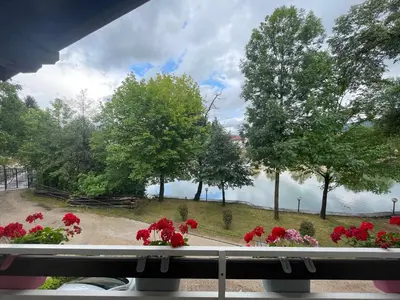 a view from a window of a park with flowers at Villa My Island in Bihać