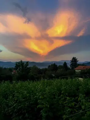 a field of crops with a sunset in the background at Merak Holiday Home in Visoko