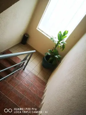 a room with a potted plant and a window at Motel HEKO in Bugojno