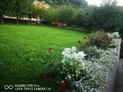 a garden with some flowers in a yard at Edo in Visoko