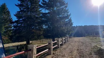 a dirt road with trees and a fence at 4 Seasons Vlašić Lux Apartments in Vlasic