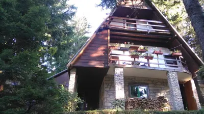 a tree house with a balcony and potted plants on it at Ismar&Hanna in Vlasic