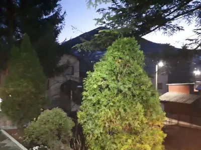 two large trees in front of a house at Obiteljski Apartman Borovi in Visoko