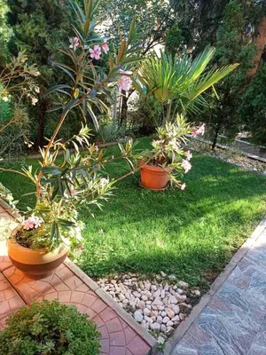 a garden with potted plants on the grass at Obiteljski Apartman Borovi in Visoko