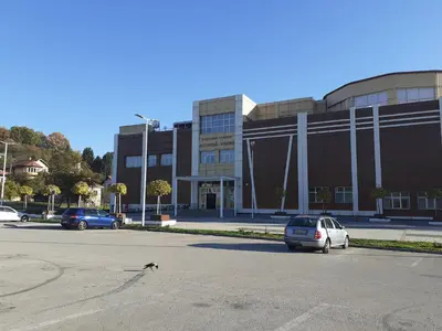 a dog standing in a parking lot in front of a building at Obiteljski Apartman Borovi in Visoko