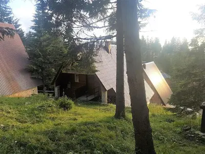 a house in the middle of a field with trees at Vikendica Armin in Vlasic