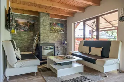 a living room with a couch and chairs and a fireplace at Forest Dream Lake House in Jajce