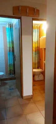 a bathroom with a shower and a toilet at Green House Izvor Vrilo in Tomislavgrad