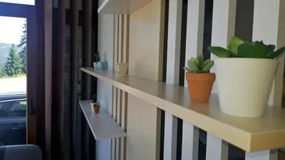a shelf with potted plants on a wall at Apartments Vlašić in Vlasic