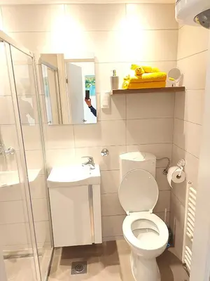 a bathroom with a toilet and a sink and a mirror at Stan-apartman A&A in Banja Luka
