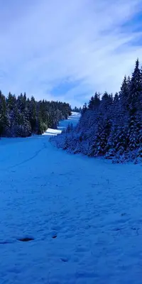a snow covered river with trees in the background at Vlašićka idila apartman Eko Fis 507 in Vlasic