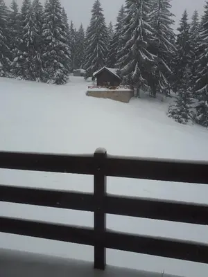 a snow covered yard with a fence and trees at Vlašićka idila apartman Eko Fis 507 in Vlasic
