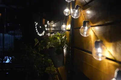 a string of lights on a wall with a potted plant at Moonlight Visoko in Visoko